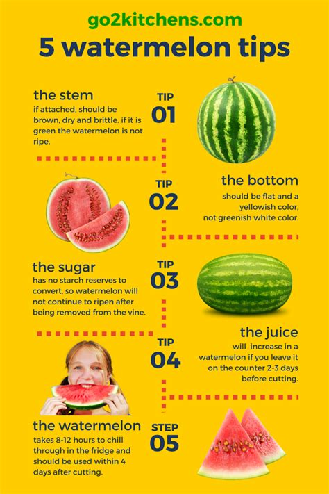 5 Fresh Watermelon Recipes And Healthy Tips Go2kitchens