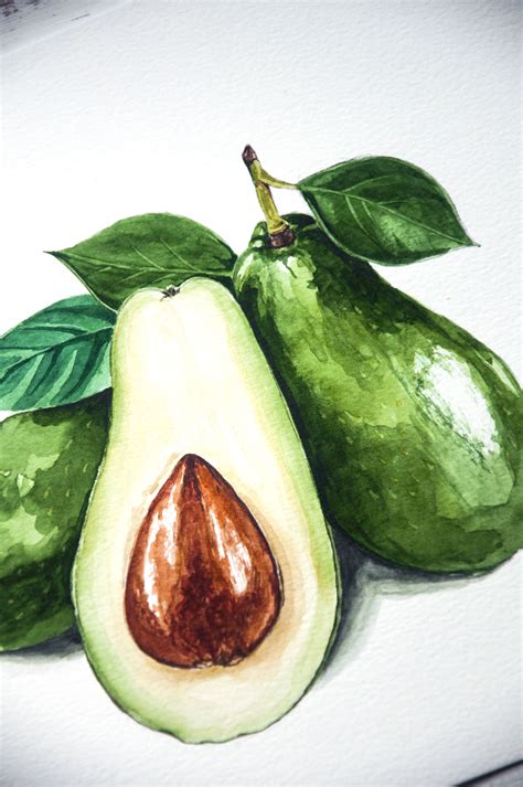 Original Watercolor Avocado Painting Vegetable Painting Avocado