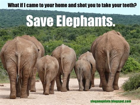 Wildlife Conservation Quotes. QuotesGram
