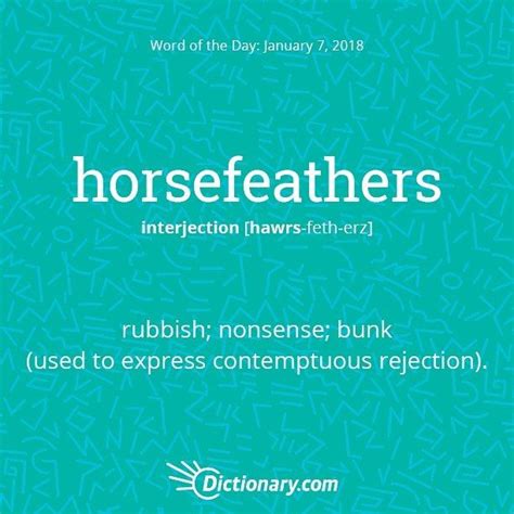 Todays Word Of The Day Is Horsefeathers Wordoftheday Language