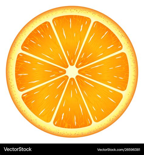 Orange Slice Clipping Path Isolated On White Vector Image