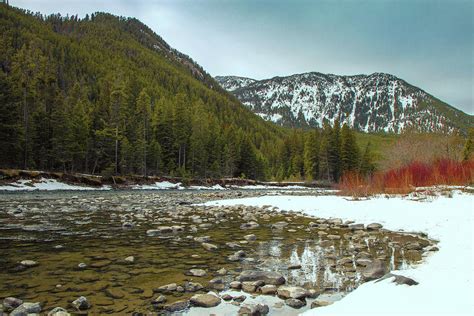 Gallatin River At Big Sky Photograph By Carol Deguiseppi Fine Art America