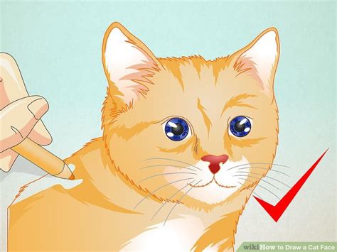 ✓ free for commercial use ✓ high quality images. How to Draw a Cat Face: 8 Steps (with Pictures) - wikiHow