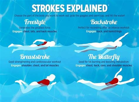 Check Out Five Significant Types Of Swimming Styles