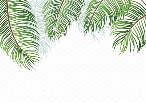 Palm Leaves On White Background Custom Designed Illustrations