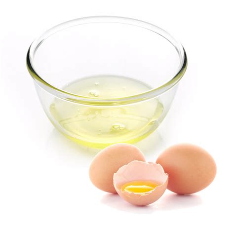 Bulk Fresh Egg White 10kg Buy Direct From Distributor