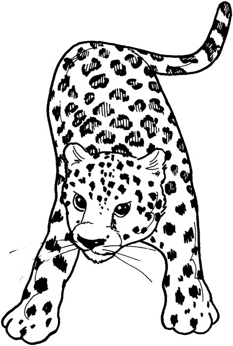 We have over 3,000 coloring pages available for you to view and print for free. Snow Leopard Coloring Page - Coloring Home