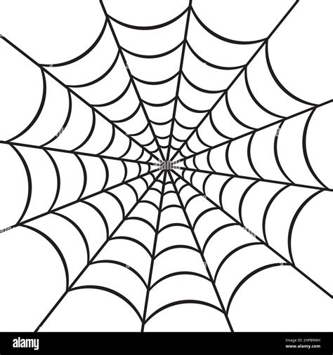 Spider Web Vector Illustration Stock Vector Image And Art Alamy