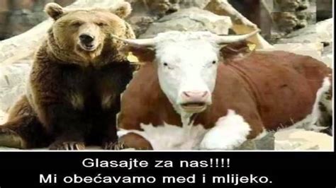 Smešne Slike Funny Pictures And Foto Youtube