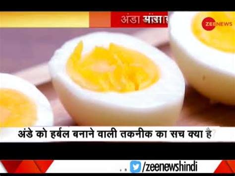 Is Egg Vegetarian Or Non Vegetarian Watch To Know Youtube