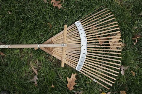 This minimizes bumps and holes, which make mowing more difficult. A Guide to Rakes: Types, History and Tips - Lawnstarter