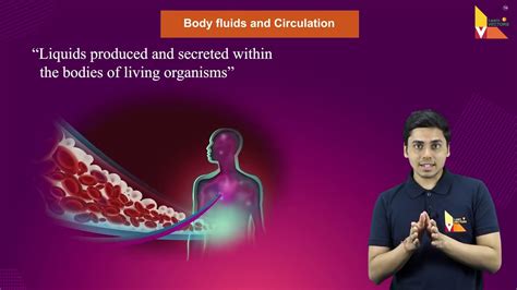 introduction to body fluids and circulation youtube