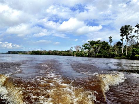 The amazon river carries more water than any other river in the world. Amazon River - River in Brazil - Thousand Wonders