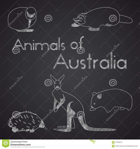 Animals From Australia Collection Vector Silhouette Australian Map