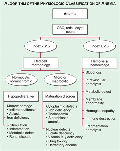 Anemia Approach