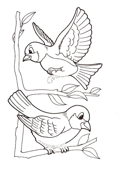 Coloriage Oiseaux exotiques dessin gratuit à imprimer