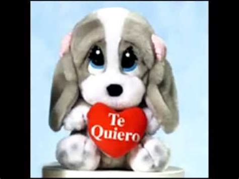 Otro sondeo con motivo del día del amor y la amistad reveló que a diferencia . Feliz Dia del Amor y la Amistad - YouTube