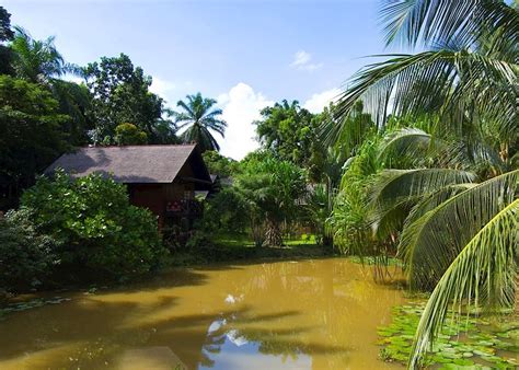 Whether its a business trip or a vacation, plan with us and enjoy your trip. Sepilok Nature Resort | Hotels in Sandakan | Audley Travel
