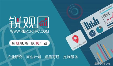 2025-2030年全球光伏产业投资规划及前景预测报告_发电_发展_能源