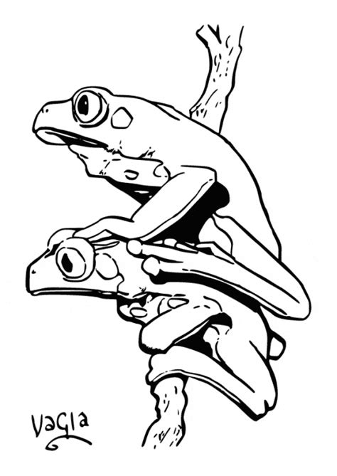 Poison Dart Frog Coloring Page Animals Town Animals Color Sheet