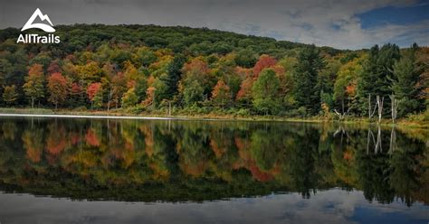 Watch breaking news live and good day new york. Best Trails in Harvey Mountain State Forest | AllTrails.com