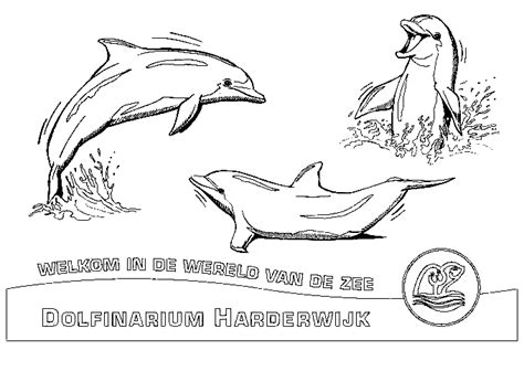 Pretpark kinder kleurplaten Dolfinarium