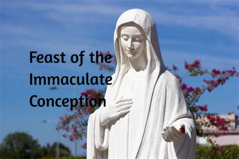 Start by marking moment of conception as want to read Immaculate Conception - 8 Things You Need To Know About ...