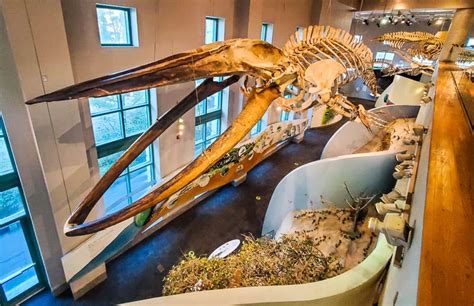 Dont Miss The North Carolina Museum Of Natural Sciences