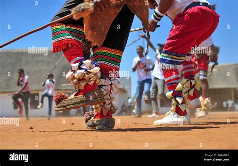 African Traditional Dancers Celebrating Heritage Day In South Africa At