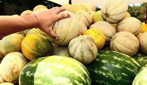 How To Pick A Perfectly Ripe Melon Every Time Watermelon And Lemon