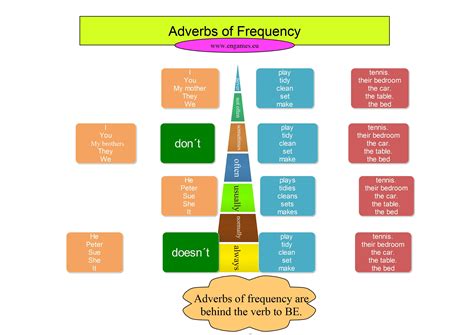 Adverbes de fréquence en anglais - my-teacher.fr ...