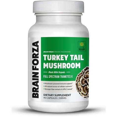 buy organic turkey tail mushroom uk immune 90 caps full spectrum