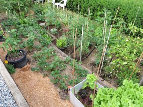 Vegetable Gardening on a Steep Slope - Caramel & Parsley