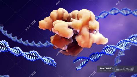 CRISPR Cas9 Gene Editing Complex And DNA Computer Illustration