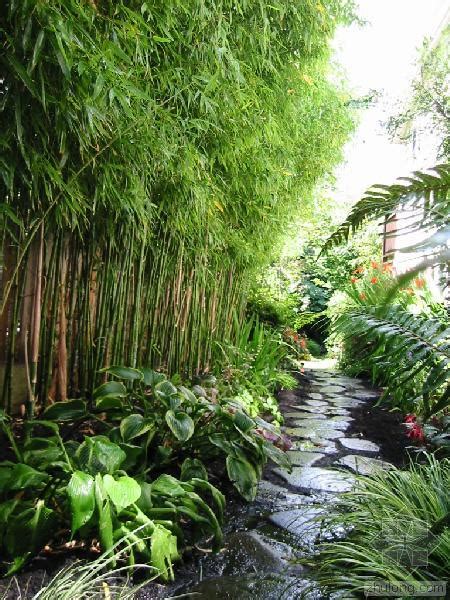 Japanese style garden love the bamboo fence small. 8 Gardens That Use Bamboo - Award Winning Contemporary ...