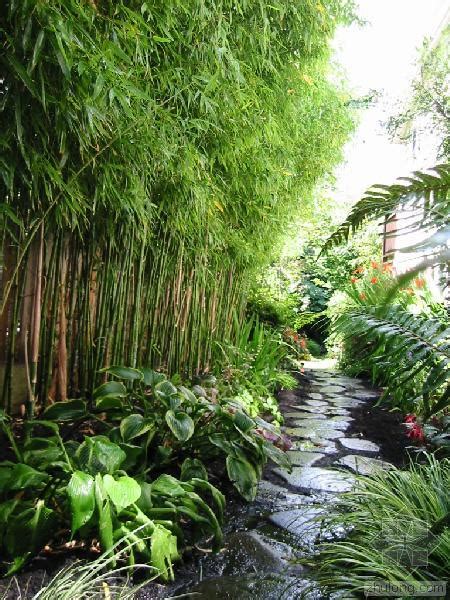 Many home gardeners feel nervous about its ability to grow at an alarming rate. 8 Gardens That Use Bamboo - Award Winning Contemporary ...