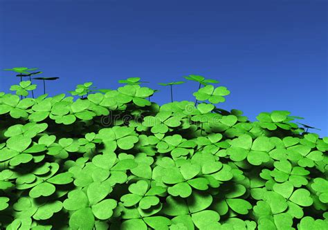 Group Of Four Leaf Clovers Stock Illustration Illustration Of Clover