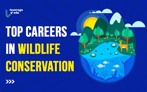 Top Careers In Wildlife Conservation Leverage Edu