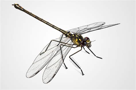 Artist Creates Incredible Insect Sculptures From Old And Used Parts