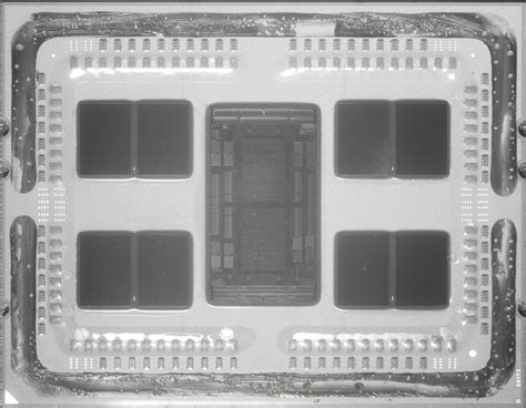 Amds 64 Core Epyc Cpu Stripped A Detailed Inside Look Toms Hardware
