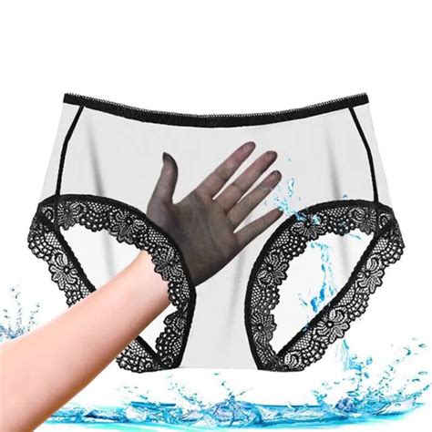 Women Underwear See Through Lingerie Mesh Briefs Lace Panties Butterfly