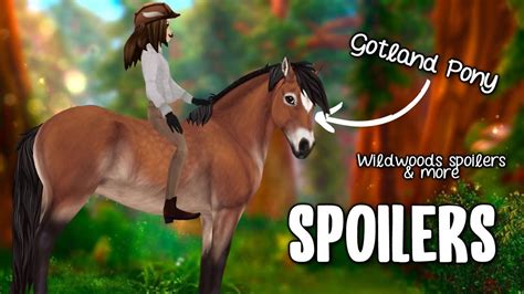 Spoilers Gotland Pony Price Coat Colours And More Info Wildwoods