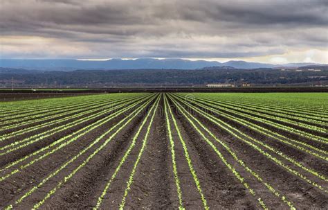 Rain Clouds Over Salinas Valley Stock Image Image Of Grow Food 37687867