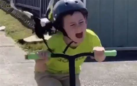 Aussie Kids Encounter With Relentless Swooping Magpie Is Brutal