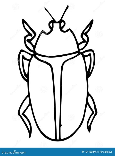 Beetle, Insect Outline Vector, Icon. Coloring Page for Kids. Exotic Bug