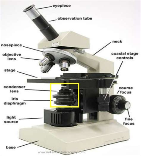 Função Do Condensador No Microscopio