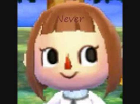 Animal Crossing New Leaf Face Guide 