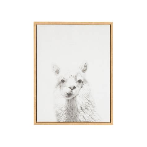 Onze robuuste en vandalismebestendige posterframes zijn uniek in de markt. Alpaca Framed Canvas Art - Uniek : Target | Framed wall ...