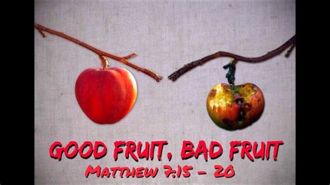 Good Fruit Bad Fruitmatthew 7 15 20 Youtube