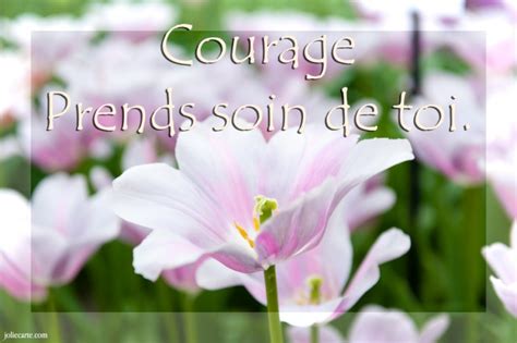 Une action artistique sensible à l'écologie et souhaitant que l'humanité prenne soin d'elle à l'intérieur, pour mieux prendre soin, à l'extérieur, de son environnement naturel, social et humain. Pour Colette - Page 24